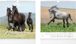 Kalendář 2027 nástěnný malý Horses