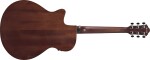 Ibanez AEG50 Black Aurora Burst