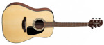 Takamine GLD12E - Natural Satin