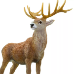 Safari Ltd. Safari Ltd. Figurka - Jelen lesní