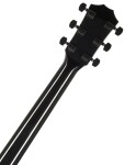 Taylor 214ce-BLK Plus