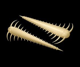 Libra Lures Červ Slayzur 55 12ks - Cheese 005,Libra Lures Červ Slayzur 55 12ks - Cheese 005