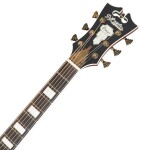 D'Angelico Premier Tammany Trans Black Cherry Burst