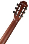 Tanglewood EM E2