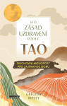 Sto zásad uzdravení podle TAO - Duchovní moudrost pro zajímavou dobu - Gregory Ripley