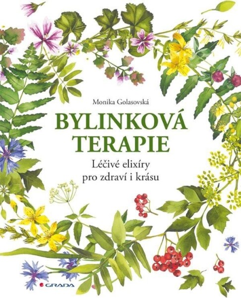 Bylinková terapie