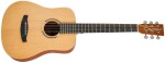 Tanglewood TR2