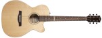 Godin Fairmount CW Flame Maple GT EQ