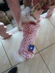 Sweet růžová bunda pro psa se srdíčky Barva: Růžová, Délka zad (cm): 25, Obvod hrudníku: 40 - 44 cm