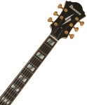 Ibanez PM200 Natural