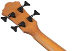 Ibanez AEGB25E Transparent Black