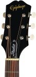 Epiphone Blues King Studio Dark Burst