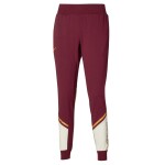 Běžecké tepláky Mizuno Sweat pant K2GDA20162 Velikost textilu: