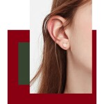 Vánoční stříbrné náušnice Rudolph - stříbro 925/1000, Opál