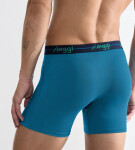 Pánské boxerky Start Short C2P box - MULTIPLE COLOURS 20 - vícebarevné V020 - SLOGGI UNKNOWN 6