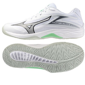 Boty Mizuno Thunder Blade Z V1GA237016 42