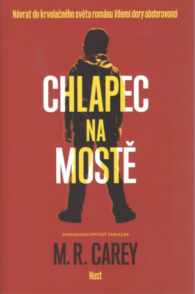 Chlapec na mostě - Mike Carey