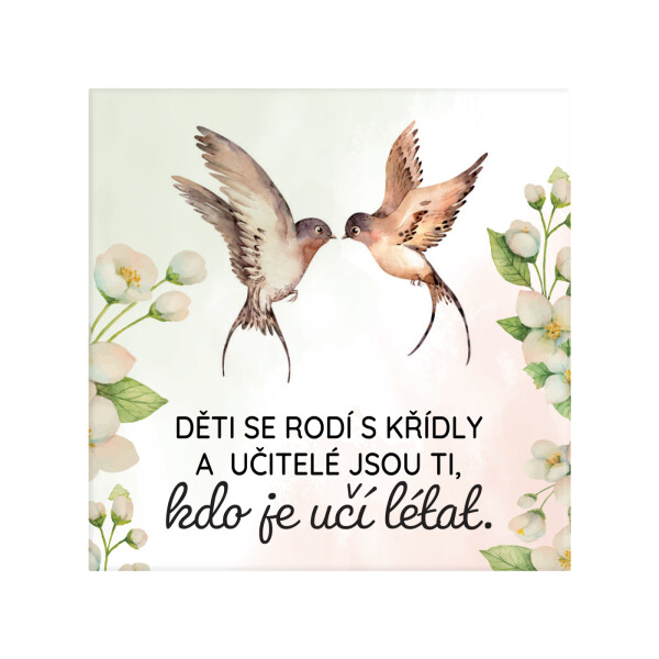 Magnetka - Učitelé