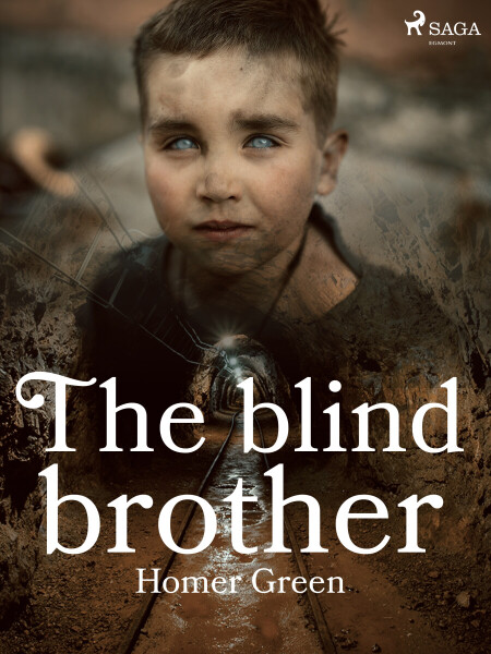 The Blind Brother - Homer Greene