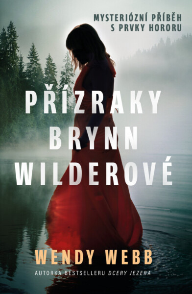 Přízraky Brynn Wilderové (poškozené) - Wendy Webbová