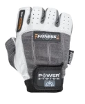 Power system Fitness PS-2300 (02152)