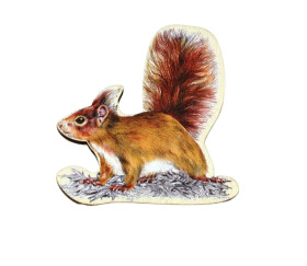 Magnet tvar - Veverka