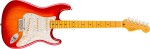 Fender American Professional Stratocaster MN ACB