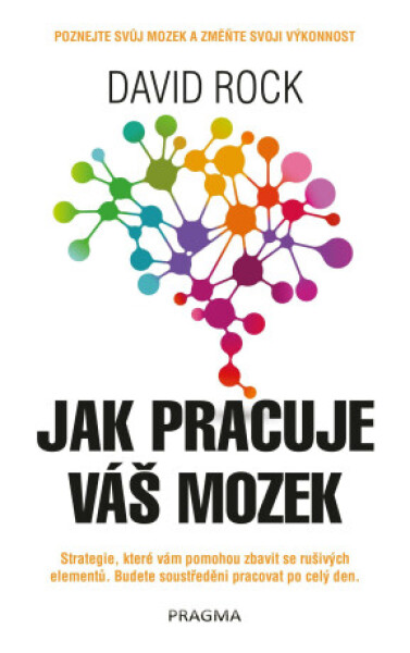 Jak pracuje váš mozek - David Rock - e-kniha