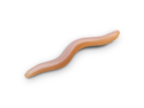 Delphin Umělá nástraha B! StinxWorm 50ks - 4cm Shrimp/Skiny,Delphin Umělá nástraha B! StinxWorm 50ks - 4cm Shrimp/Skiny