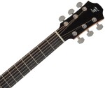 Furch Blue Plus G-SW CNR Active 2026
