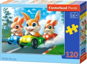 CASTORLAND Puzzle Králičí závody