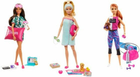 Barbie wellness panenka - Mattel Barbie