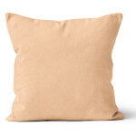Mikroplyšový povlak na polštář 40x40 cm Béžový