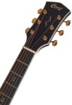 Cort Gold-D8 LB