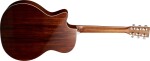 Martin GPC-13E Modern