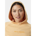 Helly Hansen W Core Hoodie W 54033 316 XL