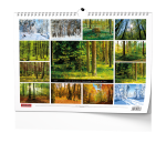 Nástěnný kalendář 2027 Baloušek Les