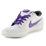 Nike Sb Force 58 DV5477-006 PHANTOM/COURT PURPLE-SUMMIT WHITE EU 45,5