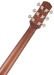 Ibanez AAD170LCES Natural