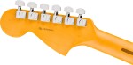 Fender American Professional Jaguar RW 3TS