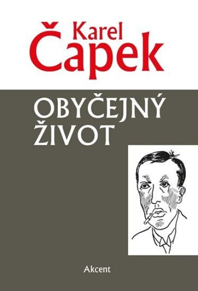 Obyčejný život