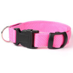 Small svítící obojek pro psy | 28 - 43 cm Barva: Oranžová, Obvod krku: 33 - 43 cm