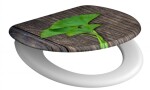 Schütte GINGKO und WOOD | Duroplast, Soft Close 4008431821542