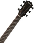 Taylor 217e-BLK Plus