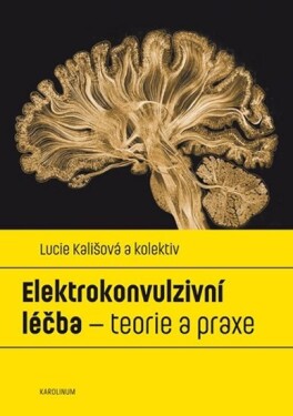 Elektrokonvulzivní léčba Lucie Kališová,