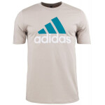 Pánské tričko adidas Big Logo SJ Tee IJ8575