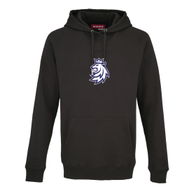 Pánská mikina Český hokej CCM PH Core Lev Black Velikost: