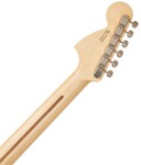 Fender American Performer Stratocaster HSS RW 3TSB