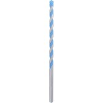 Bosch Accessories EXPERT CYL-9 MultiConstruction, 2608901485 víceúčelový vrták, 10 mm, délka 250 mm, válcová stopka, 1 ks