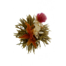 Oxalis Bai He Xian Zi Božská lilie 1 ks (kvetoucí čaj)